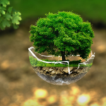 Dons e direitos da outra pessoa – Marcelo Barros