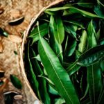 Umbanda e Santeria de Cuba no Curso de Ecumenismo e Diálogo Inter-Religioso