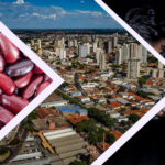 Desemprego e fome batem à porta dos fiéis. Desafios pastorais para a Igreja Católica e Igrejas Evangélicas em sua missão evangelizadora