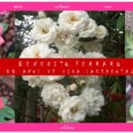 Programa completo Curso de Verão 2022