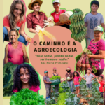 CESEEP solidariza-se com o SEFRAS-RJ contra a ordem de despejo da PMRJ