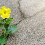 Curso de Verão na TV Aparecida