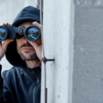 Em meio à irracionalidade resgatar o bom senso – Leonardo Boff