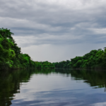 Nota do CESEEP de Pesar e Indignação pelo assassinato de Bruno Pereira e de Dom Phillips