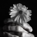 Conheça o livro recentemente lançado:”Semente de Vida: a rejeição e a aceitação de filhos/as/es LGBTI+ em lares cristãos”.