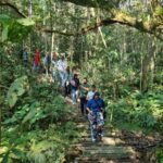 Carta de Compromisso do Curso de Ecumenismo e Diálogo Inter-religioso 2024